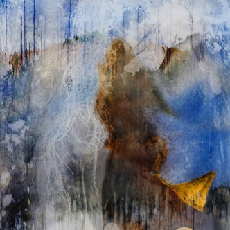 VOYAGEUR DES BOIS